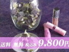 2人の素敵な女の子がフェラチオスキルをテストします