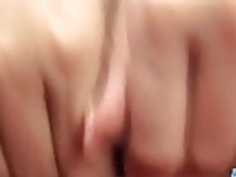 若くて貧しいのための強力な猫の遊び