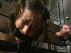 強制オーガズム