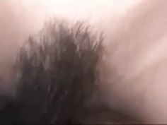 アジアクリームパイ