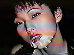 日本の女性は11ツバメ