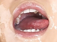 伝統的な日本食