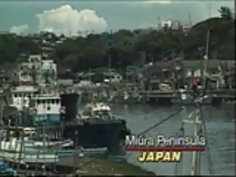 バンザイDebutantes 1