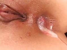 DPと日本製クリームパイ