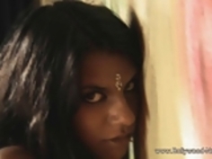 認定スネークダンス