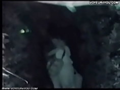 夜の屋外でのセックスショー