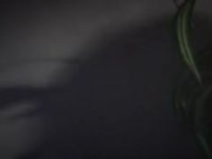 巨乳 ギャル 手コキ 明日花キララ 痴女