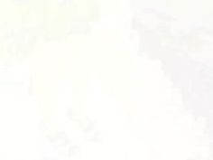 ギャル 明日花キララ 痴女 不倫 寝取