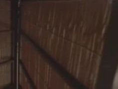 レイプ 変態 犯され ノーブラ ノーパン