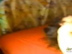 性交奴隷の女性jpnヴィンテージthreesome日本のポルノ - Jav1