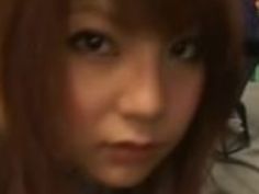 パルドリル、日本人ひよこ