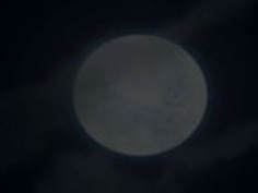 アニメメイド喜び