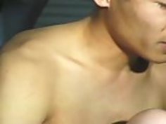 日本の高速道路ハニーズ