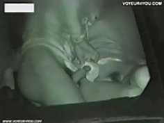 後部座席での車のクソ