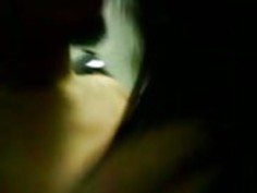 マレーシアの政治家のVIPの方