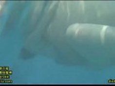 日本のママと息子は、水のゲームでリンクします。LinkFull：http://q.gs/E5g72