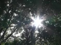 風呂 美人 誘惑 ベロチュー 椎名ゆな