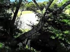 看護スタッフの日本人アマチュアSEX