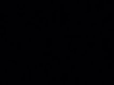 無修正 中出し 父親 親 日本人