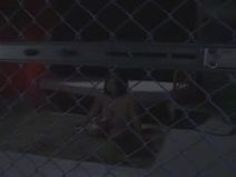 アナル パイズリ アナル舐め 挟射 アナ