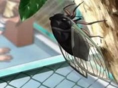 エロアニメ 美少女 コスプレ 日焼け アニメコスプレ