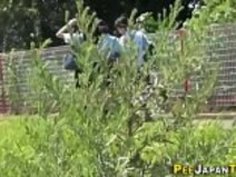 日本の十代のスカンク小便