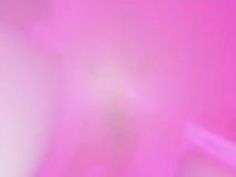 エロアニメ 人気