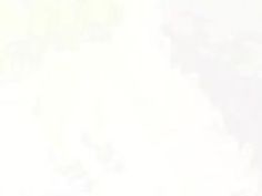 企画 明日花キララ NTR 夫婦 奥さん