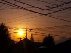 人妻 美人 美人妻 ベロチュー 無理矢理