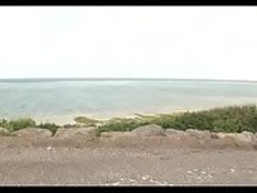 【さとう遥希】巨乳ギャルＪＫが後輩を痴女って次々ベロチュー！