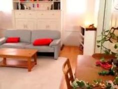 ハーレム アイドル 三上悠亜 高橋しょう子 神