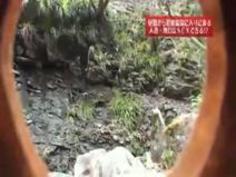 混浴温泉に来る熟女は本当にヤレるのか？