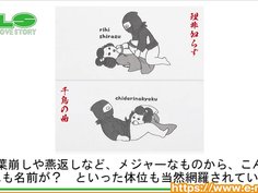 【アダルトグッズNLS】ニッポンの手ぬぐい　秘技！四十八手＜紹介動画＞