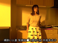 AVS-024 AVSCollector’s2020年間 SPECIAL BESTカタログ