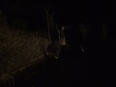 暴姦された熟女たち15人汚されながらも逝き果ててしまうそれが牝の性