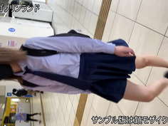 【女学生】ネットに書き込みのあった電車の娘にフェラの依頼。個室で悦び竿を咥える（スマホ撮り）。