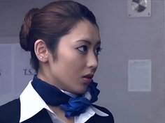 flight attendant